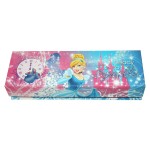 Princess Pencil Case Box
