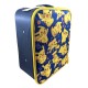 Pokemon Suitcase 