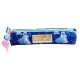 Princess Cinderella Pencil Case