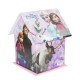 Coin Bank (House-Big) Frozen